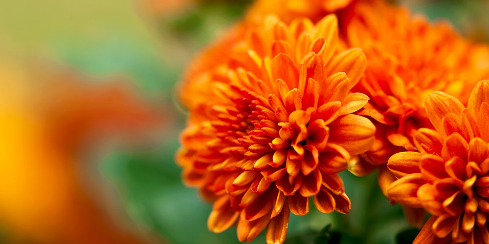 Jouez sur la couleur orange
