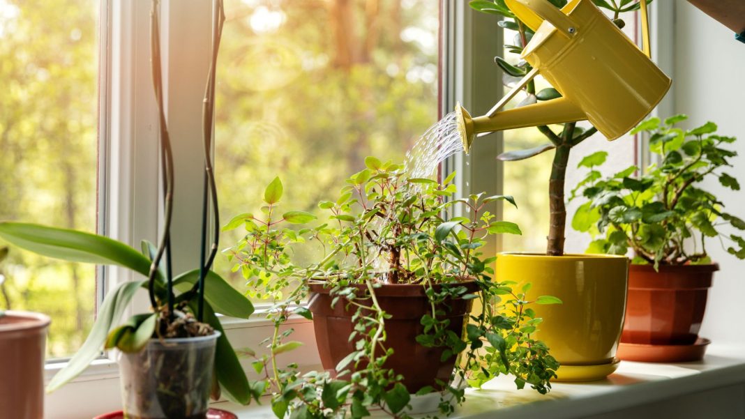Une fenêtre ouverte sur la déco