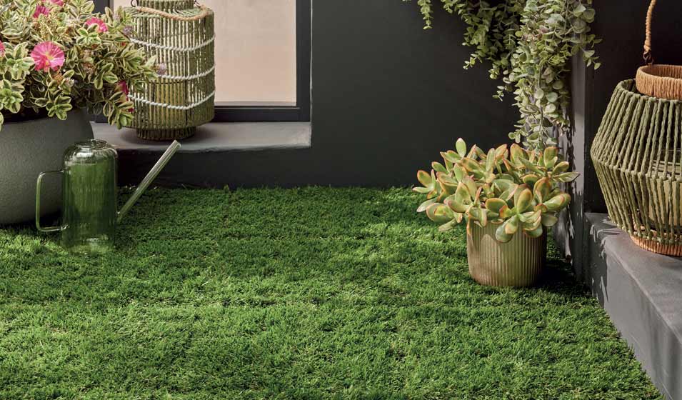Sitemapcdatahttpsshopinf Inetcomcactus Exterieur Jardiland