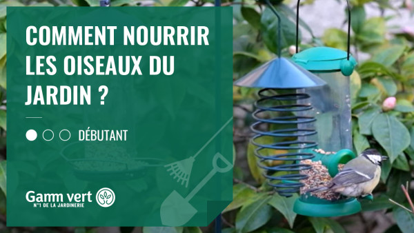 Comment installer un nid douillet pour les oiseaux à - Ville de Paris