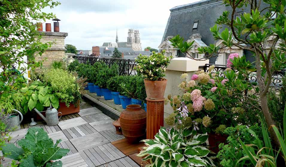 Des plantes au sommet