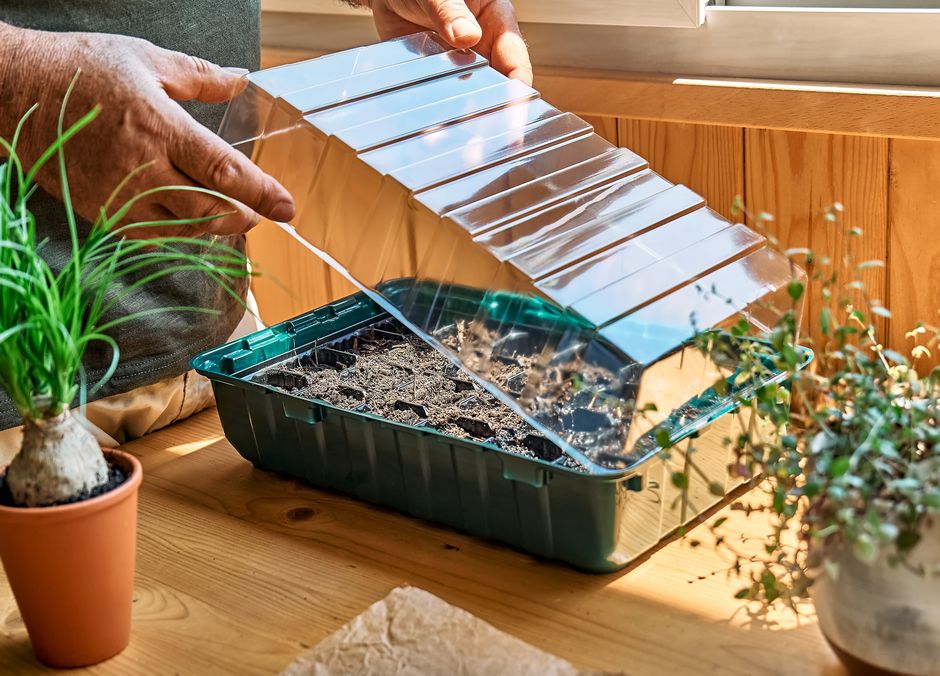 Un plateau alvéolé et un couvercle transparent qui garde chaleur et humidité, l’idéal pour les semis 