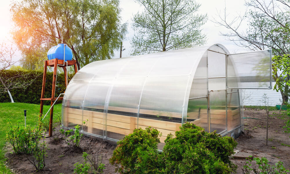 Une serre tunnel acier et polycarbonate, prévoir de bonnes fixations pour résister au vent 