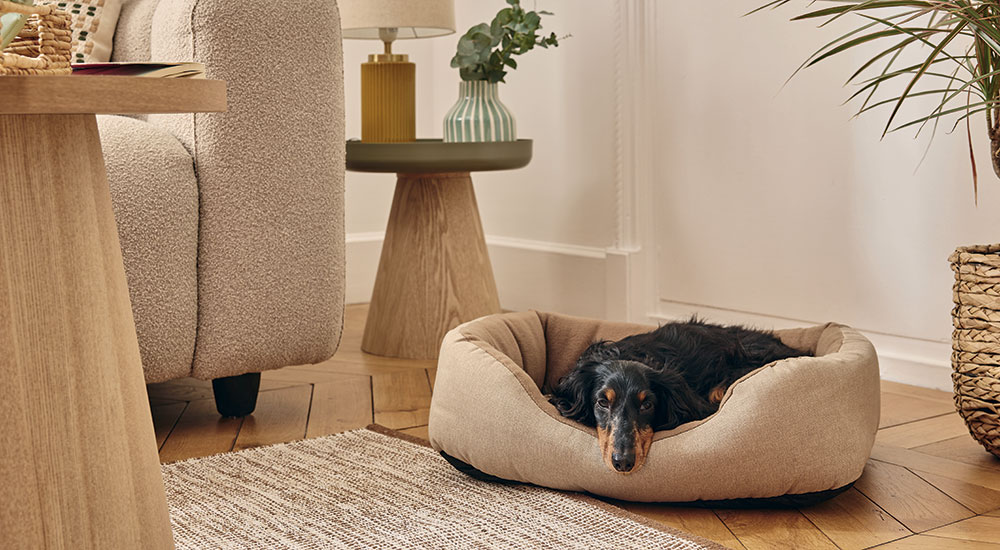 Corbeille chien responsable Taupe M - Pure Family