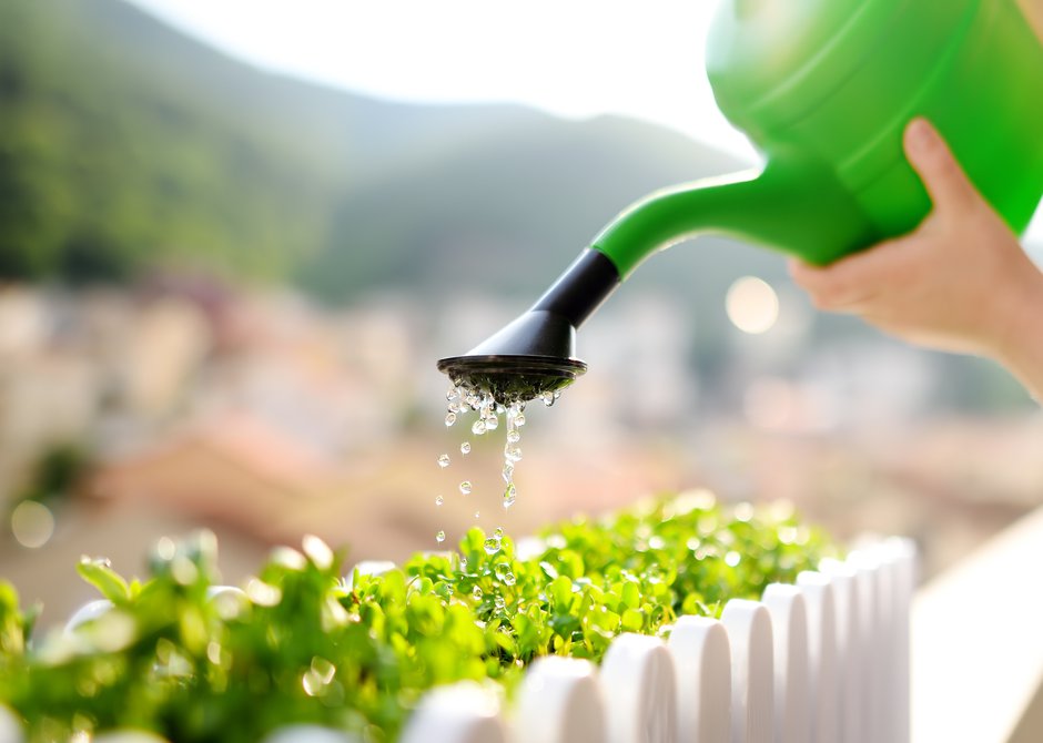Préférez arroser peu et souvent pour éviter les excès d’eau dans la jardinière en bois