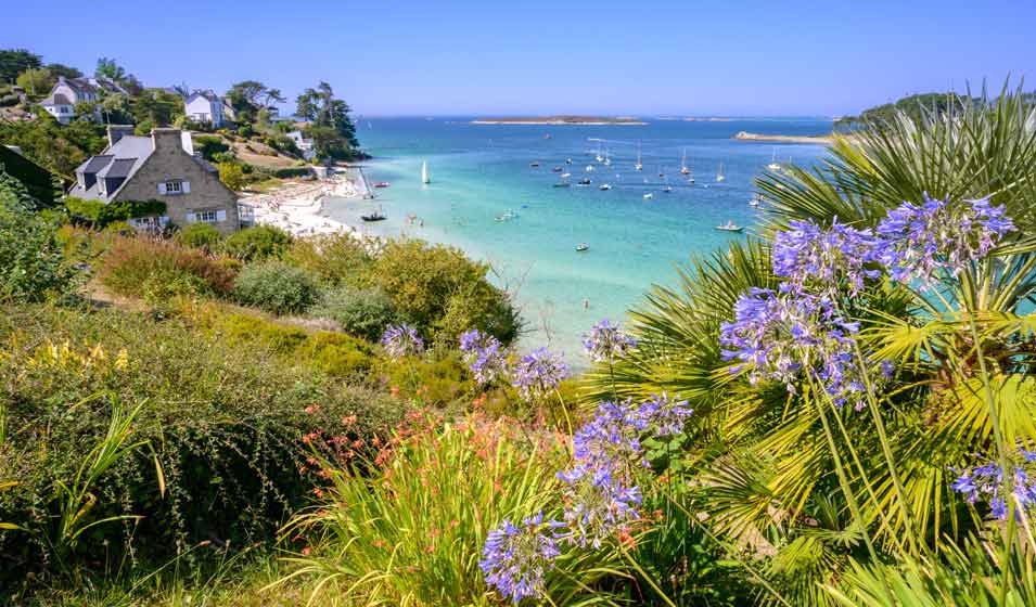 10-plantes-id-ales-pour-un-jardin-de-bretagne-jardiland