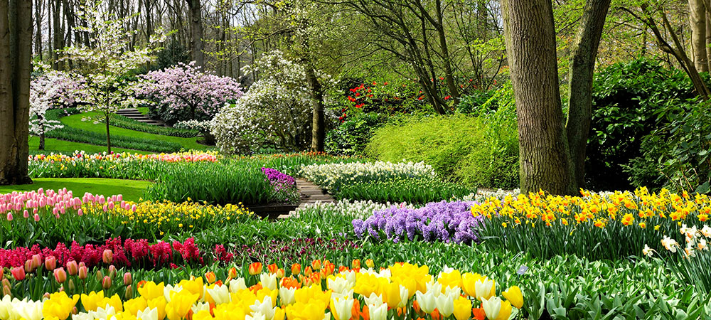 Le Keukenhof, au Pays-Bas