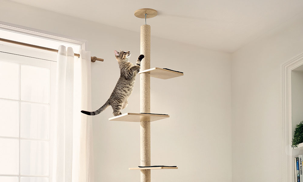 Comment stabiliser un arbre à chat ?