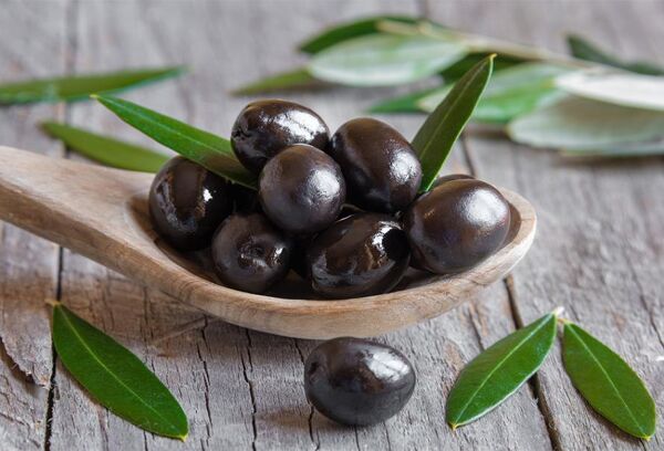 La préparation des olives noires après la cueillette - Gamm vert