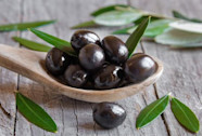 La Pr paration Des Olives Noires Apr s La Cueillette Gamm Vert
