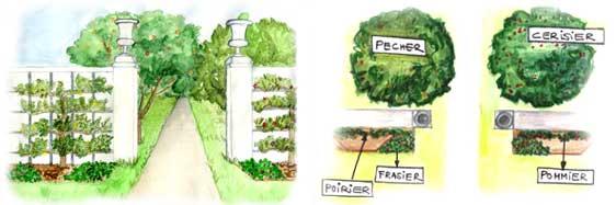 Plan d'un potager à la française