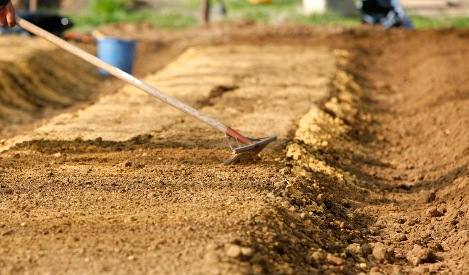 Le potager sur buttes