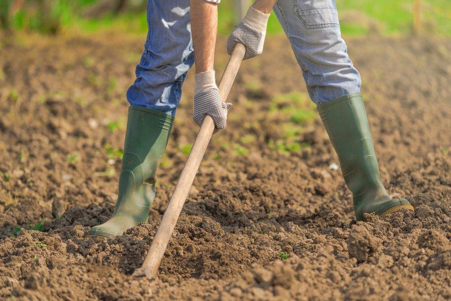 La préparation du sol est obligatoire, mais elle peut être plus ou moins facile !