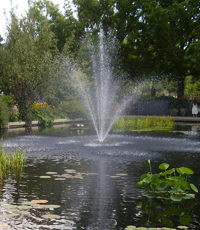 Un jet d'eau aère l'eau du bassin