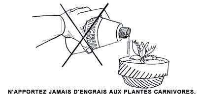 Ne donnez pas d'engrais aux plantes carnivores