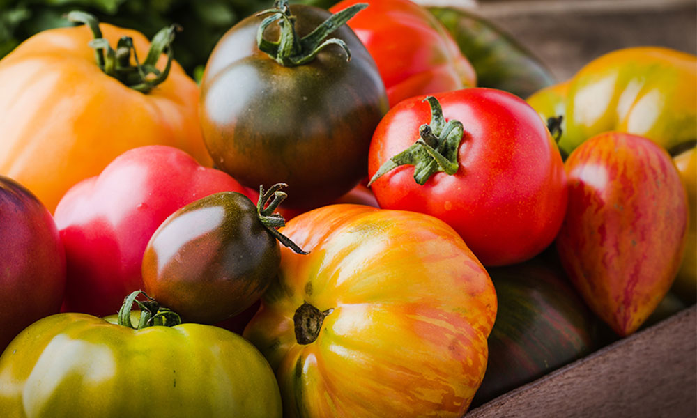 Les variétés de tomates sont nombreuses