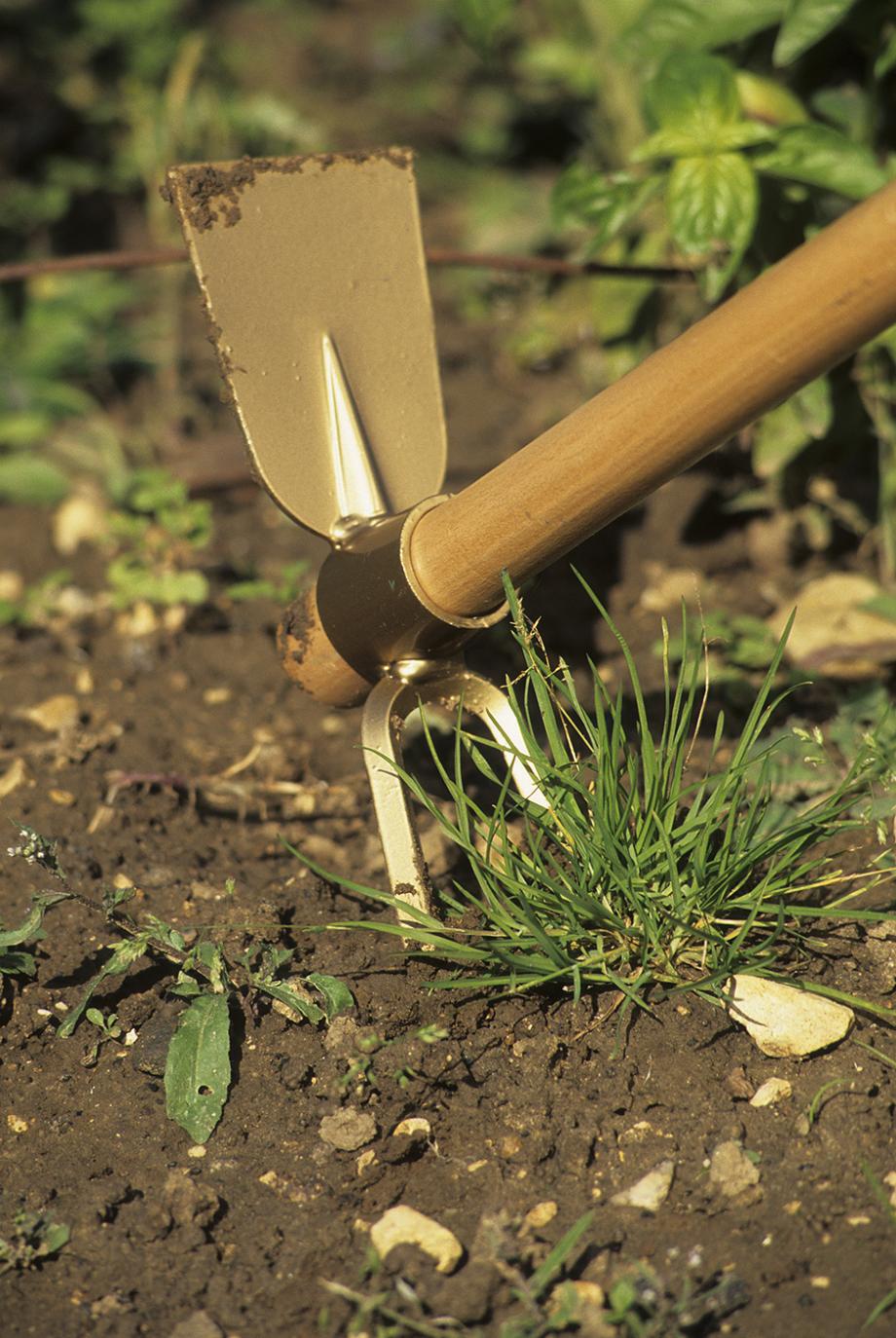 Les outils de jardin pour gratter et désherber