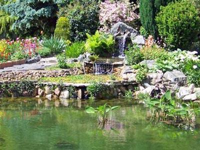 Construire un petit bassin de jardin avec cascade - Pirrotta