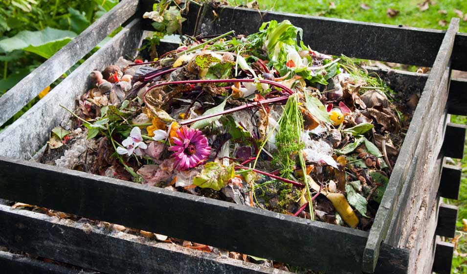 compost