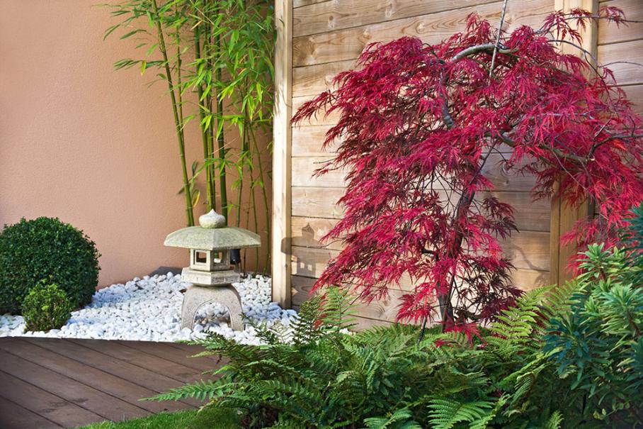 décorer le jardin de gravier, bambous et bassins