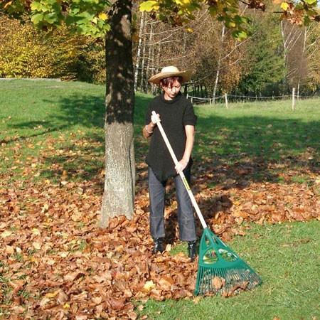 Ramassage de feuilles