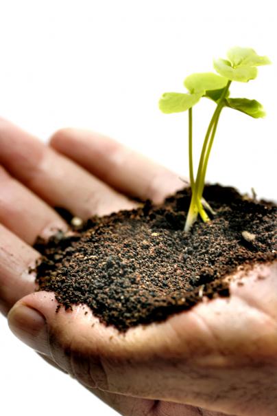 Leçon de paysagisme : 10 préceptes pour un jardin écologique