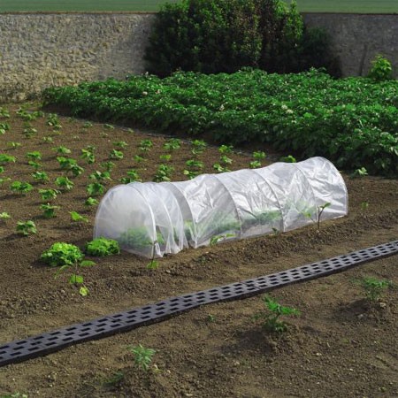 Protégez les légumes semi-rustiques avec un tunnel maraîcher