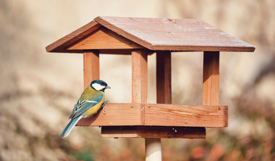 Modèles et idées pour faire un abreuvoir pour oiseaux