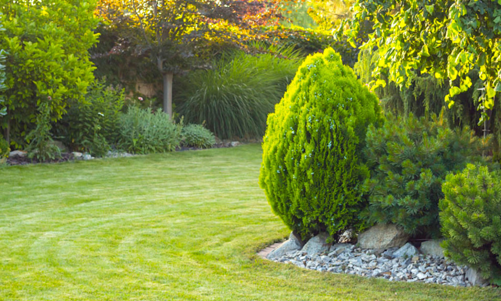 Comment aménager ce coin du jardin ? 