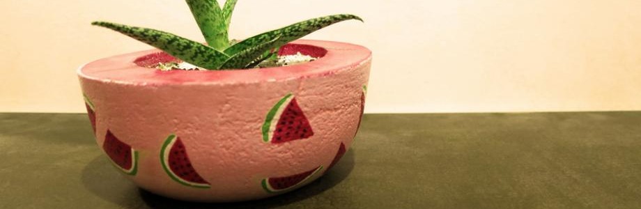 Des pastèques dessinées pour souligner le côté exotique de la plante
