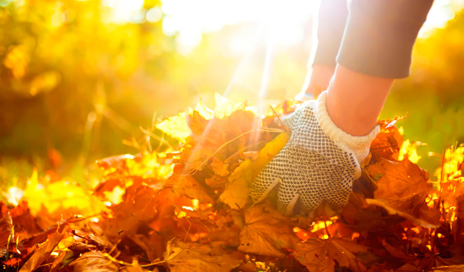 Qu'estce qu'un jardin au naturel ? Jardiland