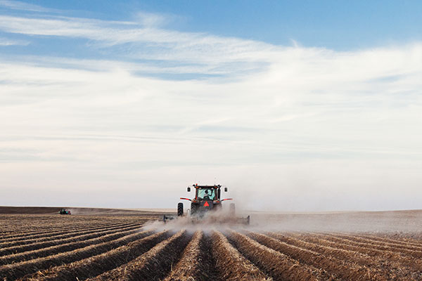 Le tracteur forme des billons dans les champs agricoles