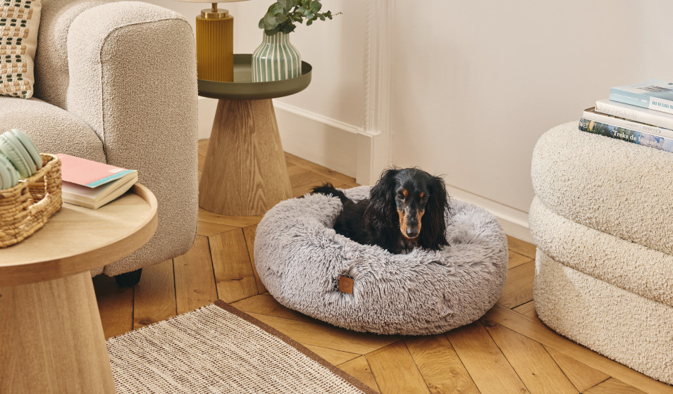 Panier pour chien Pure Family