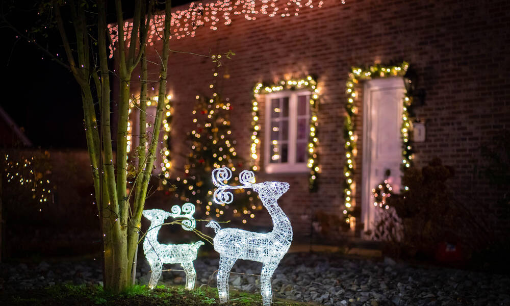 Rennes et lumières dans un jardin de Noël 
