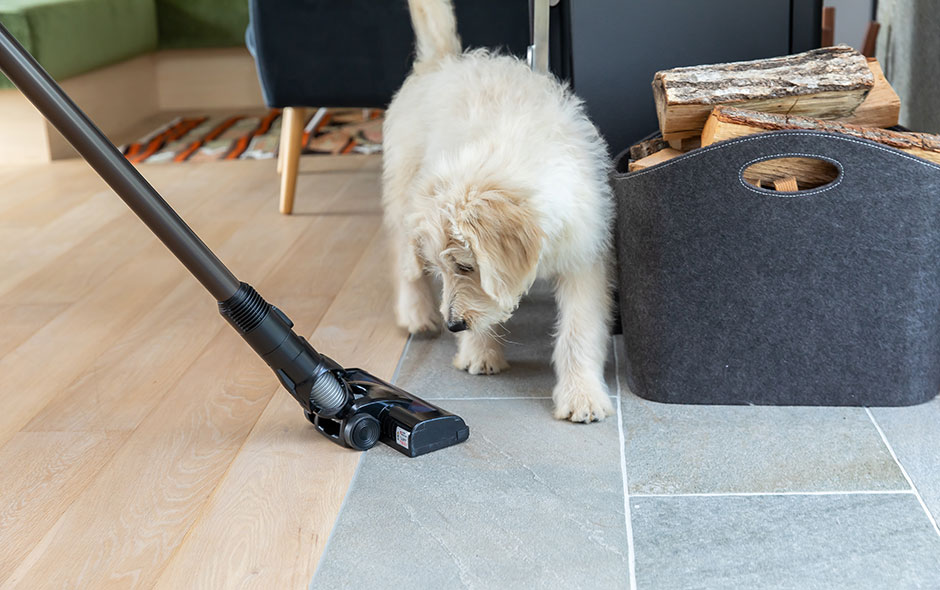 Comment garder une maison propre quand on a des animaux de compagnie