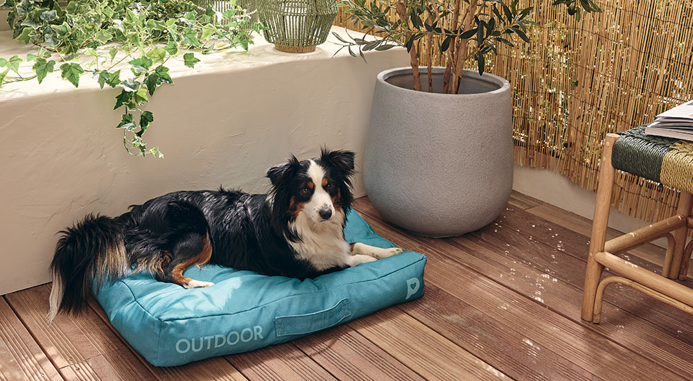 Coussin chien devoue imper M - Pure Family