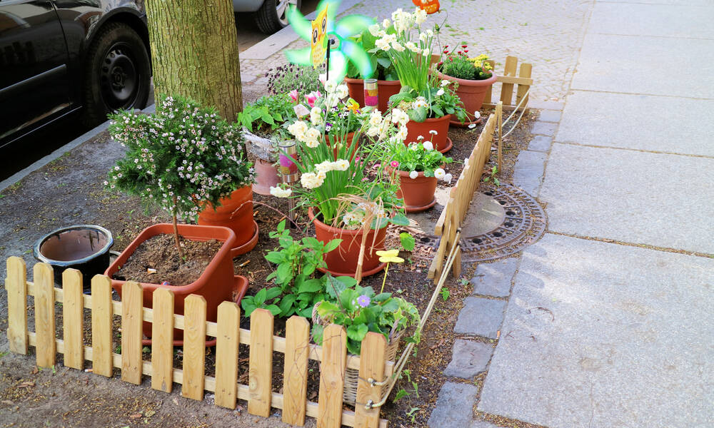 Les mini-clôtures protègent les plantes 