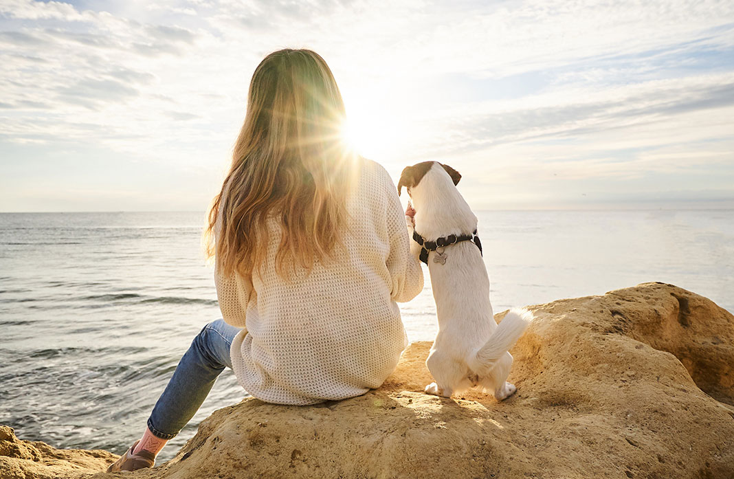 Les précautions à prendre pour partir en vacances avec un animal