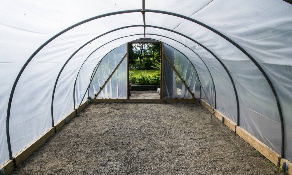 Cette grande serre tunnel permettra de cultiver tomates, poivrons et aubergines 