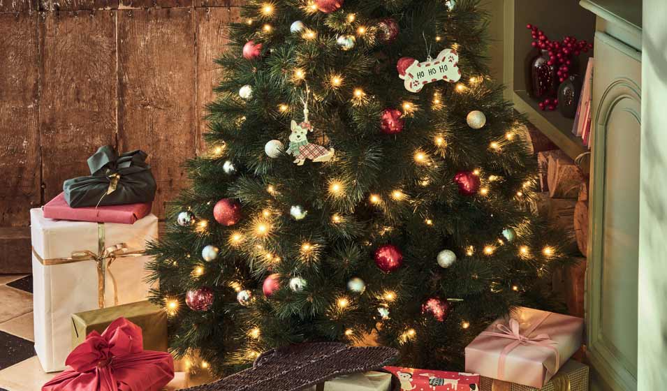 Le sapin Pet friendly