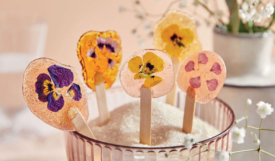 On vous fait une fleur