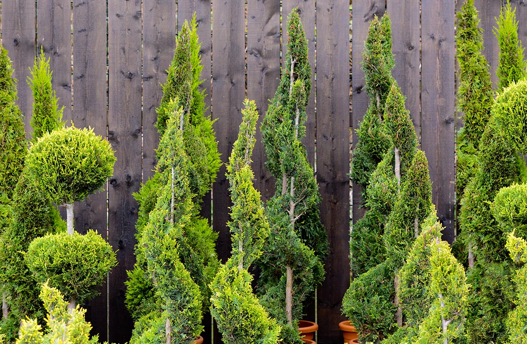 Pas de "fashion faux-pas" au jardin