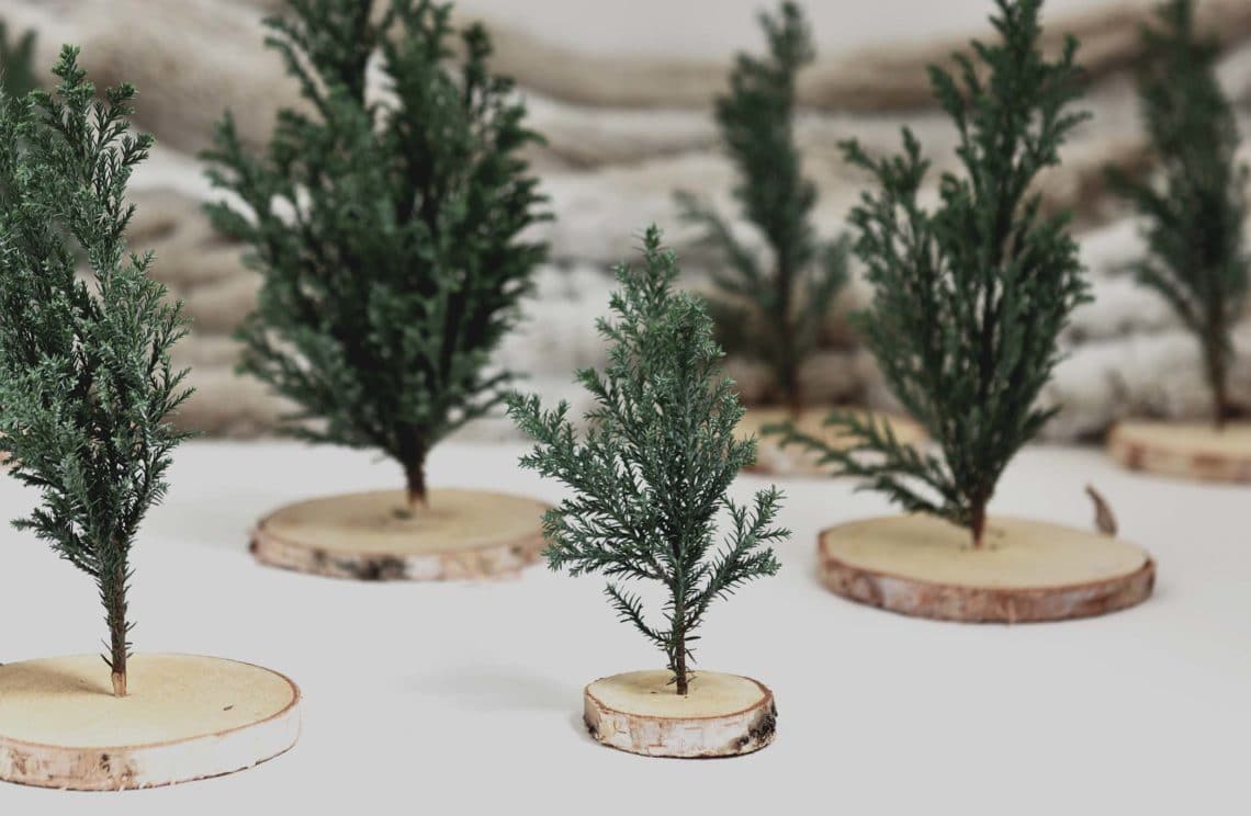 Mes mini-sapins de table