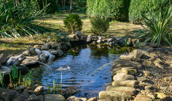 Bassin de jardin préformé - Start