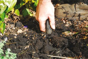 Creusez le trou de plantation