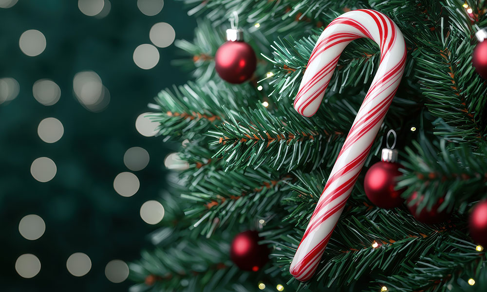 Misez sur le rouge et le blanc pour votre sapin de Noël