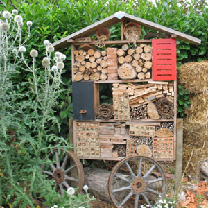 Fabriquez un hôtel à insectes