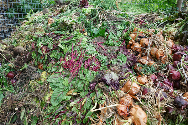 Le compost est une clé dans le jardinage avec le biodynamisme