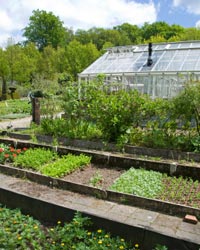 Suivez les phases de la Lune pour optimiser les travaux au potager !
