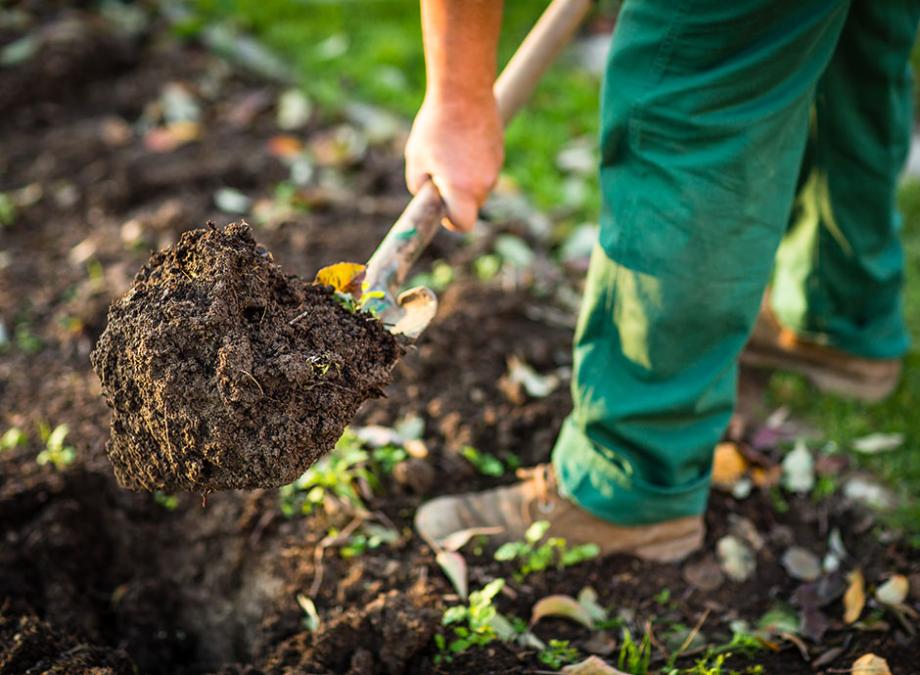 Comment Faire Pour Avoir Une Terre Acide